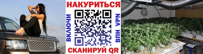 Как найти закладки Калининец Галлюциногенные грибы  АМФЕТАМИН  МАРИХУАНА  A-PVP  Cocaine 