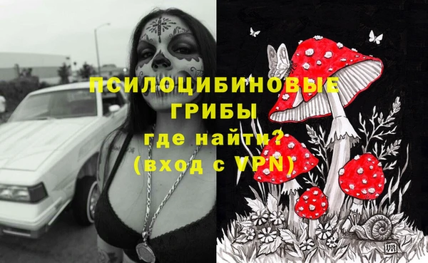 мяу мяу мука Белокуриха