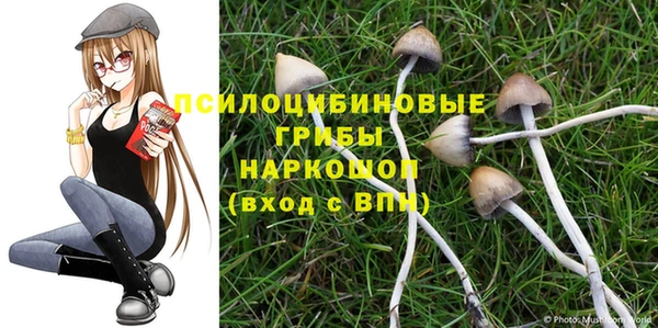 мяу мяу мука Белокуриха